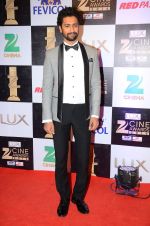 Vicky Kaushal at zee cine awards 2016 on 20th Feb 2016